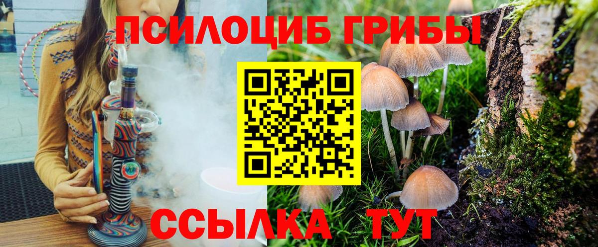 Псилоцибиновые грибы мицелий  Вход с VPN  Кинель 
