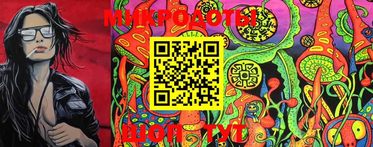 Псилоцибиновые грибы GOLDEN TEACHER Кинель