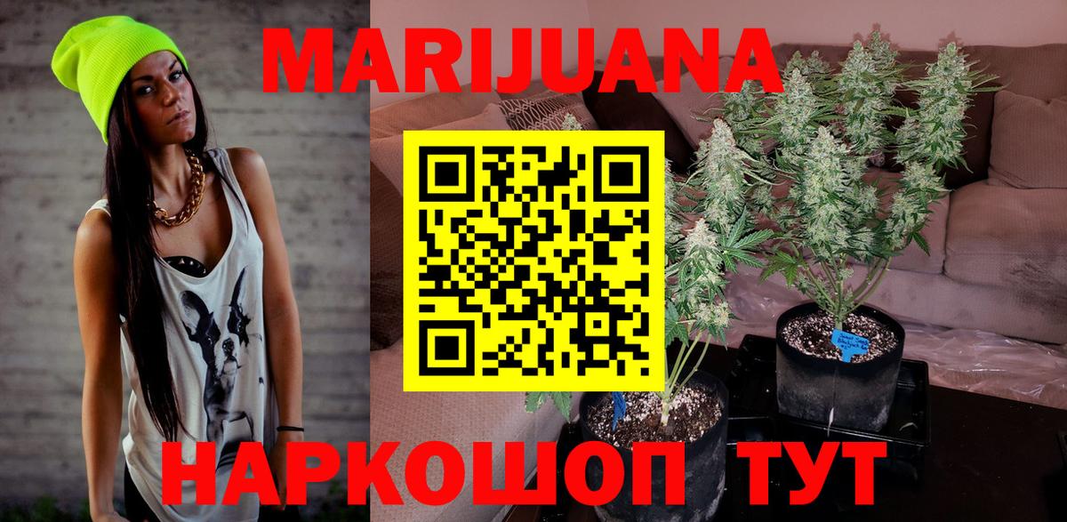 Кинель  Канабис OG Kush  Конопля SATIVA & INDICA  Вход с VPN 